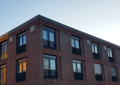 Onderzoek en tijdelijke vleermuisvoorzieningen in Zevenaar