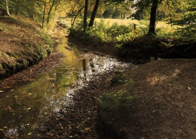 Raambestek Bos en Natuurbeheer – Gemeente Ede