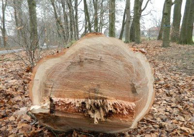 Technische uitwerking – Geldersch Landschap en Kasteelen