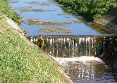 Directievoering maaien bermen en watergangen – Gemeente Lingewaard