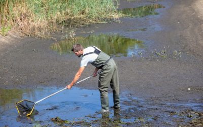 Even voorstellen: Bart Visser, ecoloog bij De Slijpkruik Ecologie B.V.