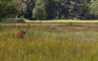 Hoge Veluwe Landschapssymposium