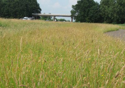 Beheerplan Bermen en Watergangen – Gemeente Nijkerk