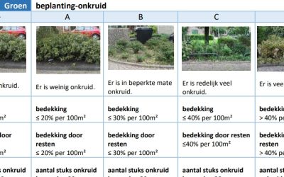 Voorlichting | Schouwen en beeldkwaliteit conform KOR