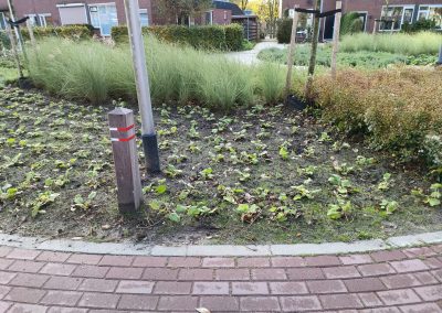 Directievoering en toezicht groenrenovatie Zilverkamp – Gemeente Lingewaard