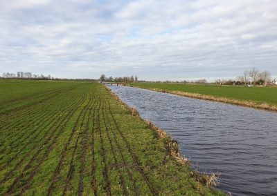 Ecologisch werkprotocol Kockengen – Ruimte voor Advies