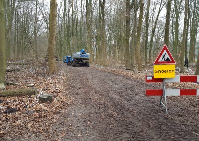 Directievoering Amsterdamse bos – Bomenwacht Nederland